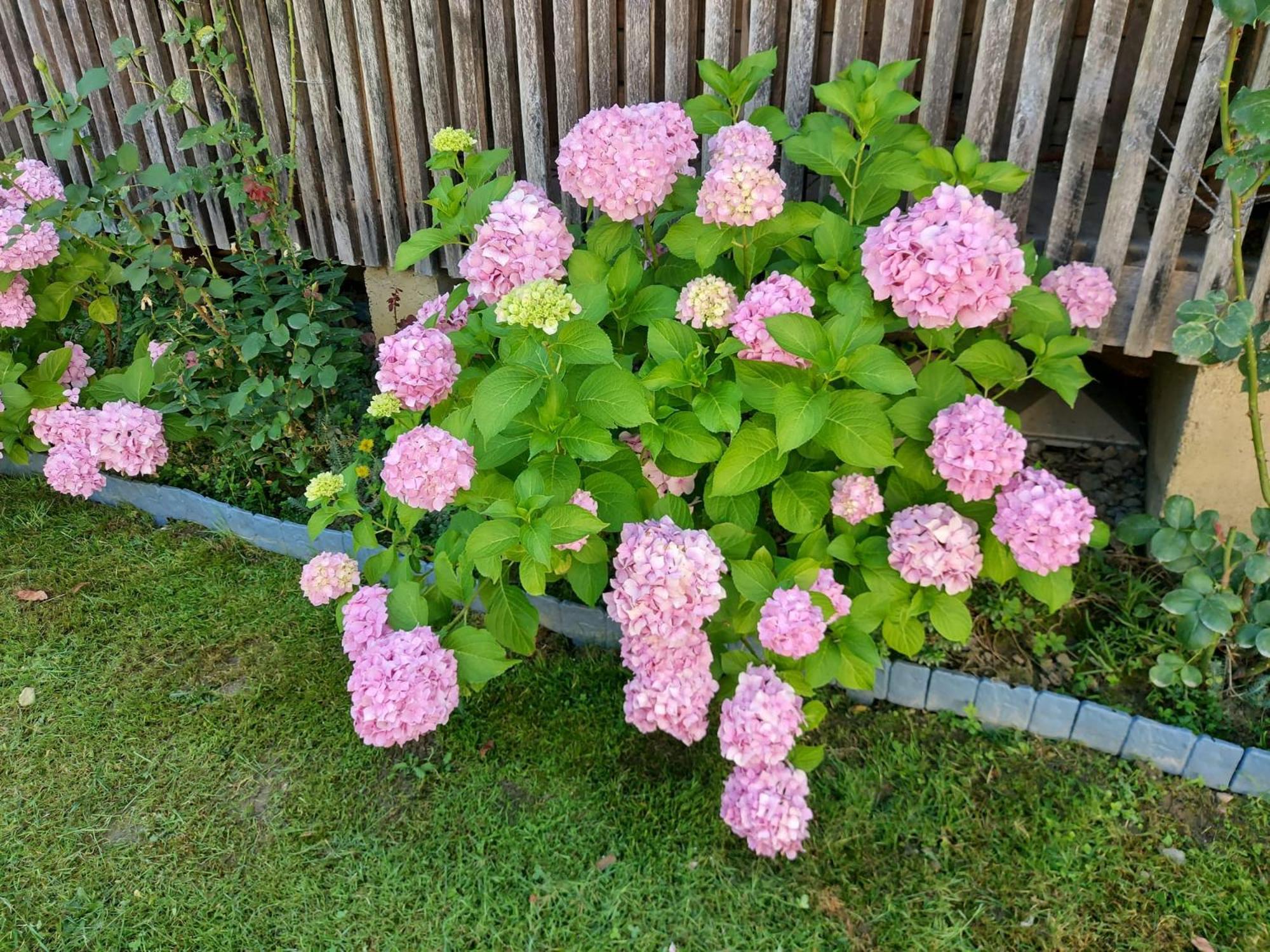 Holiday home Kuca Za Odmor Mazuran Karlovac
