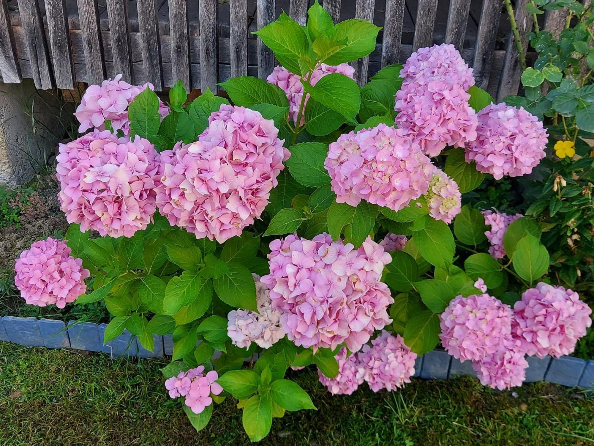 Kuca Za Odmor Mazuran Karlovac